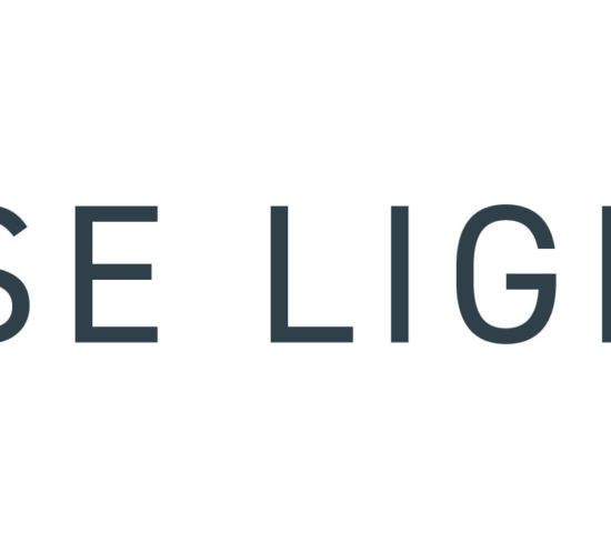 LSE Lighting Logo-01