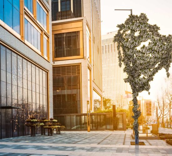 a combined lamp post and tree